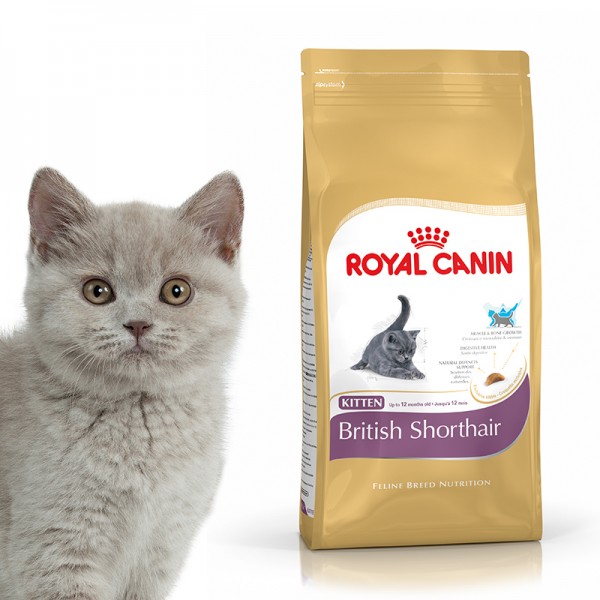 chicopee-high-premium-kitten-15kg