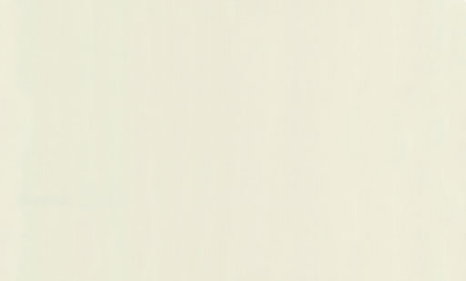 8101-15-раппорт