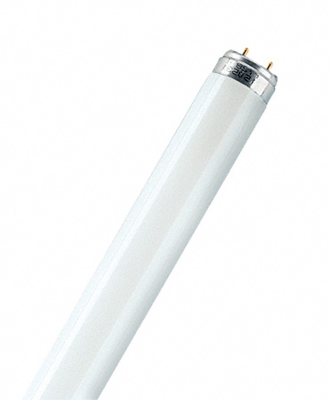 L 18W/765 Russia G13 6400K лампа люм. Osram