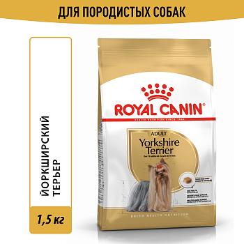 Йоркшир Терьер 28 1,5кг ЧЗ