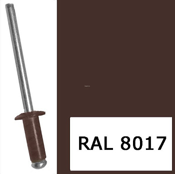 Заклепка ZK-4,8х12 (RAL8017)
