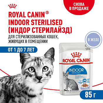 Индор стерилайзд желе 28*85г ЧЗ