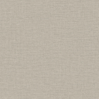 1008CO (GD) Бельгия / CONCEPT / КОНЦЕПТ (1,06*10м обои винил флиз)  (6)