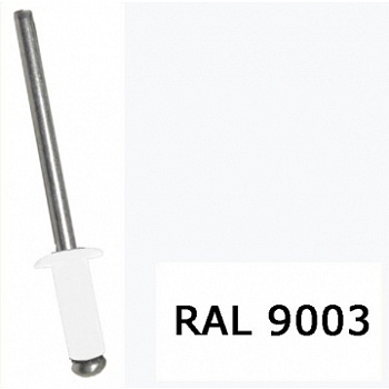 Заклепка ZK-4,8х12 (RAL9003)
