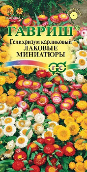 Гелихризум Лаковые миниатюры карликовый, семена Гавриш 0,1г 11475