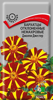 Бархатцы Джоли Джестер, семена Поиск 0,2г 5734