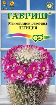 Маммиллярия Бакеберга (кактус) Летиция, семена Гавриш 2шт 129162