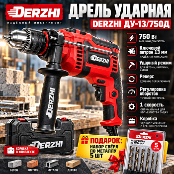 Дрель ударная Derzhi ДУ-13/750Д, 750 Вт