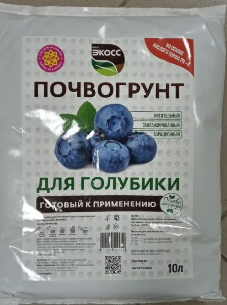 голубика-1-rotated